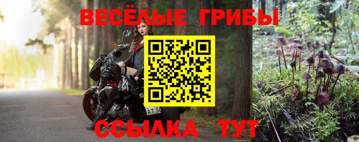Галлюциногенные грибы Cubensis Дзержинск